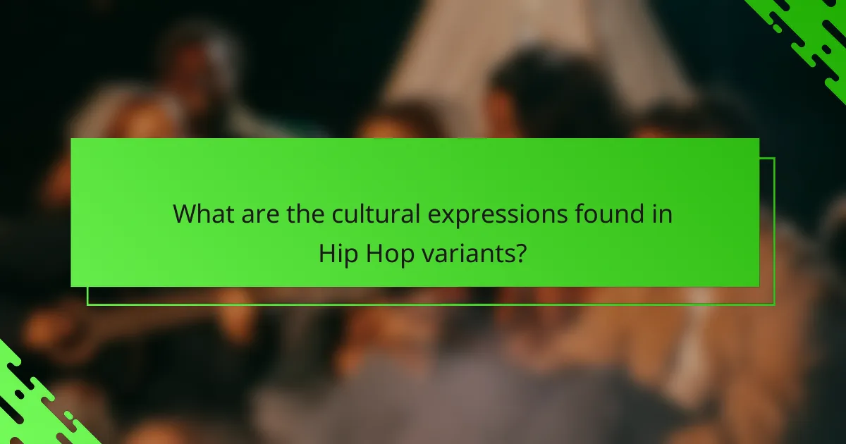 What are the cultural expressions found in Hip Hop variants?